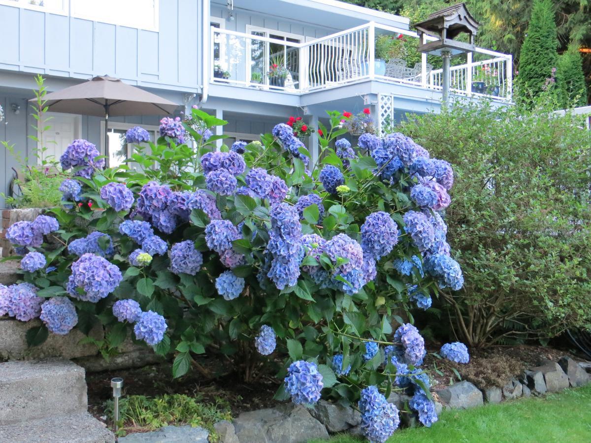 Bed and Breakfast Caprice Roberts Creek Exterior foto